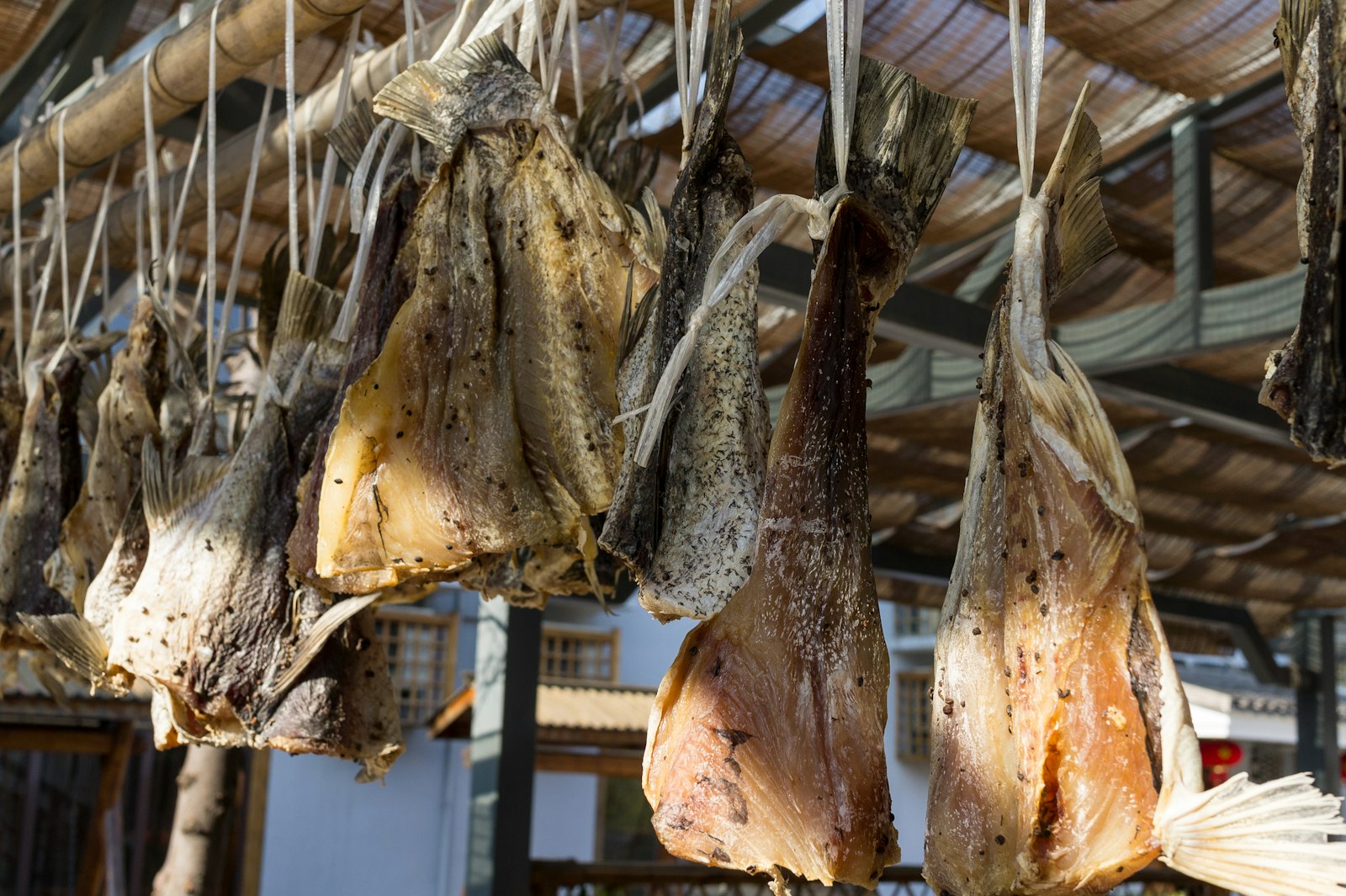 Dried Filefish Fillets