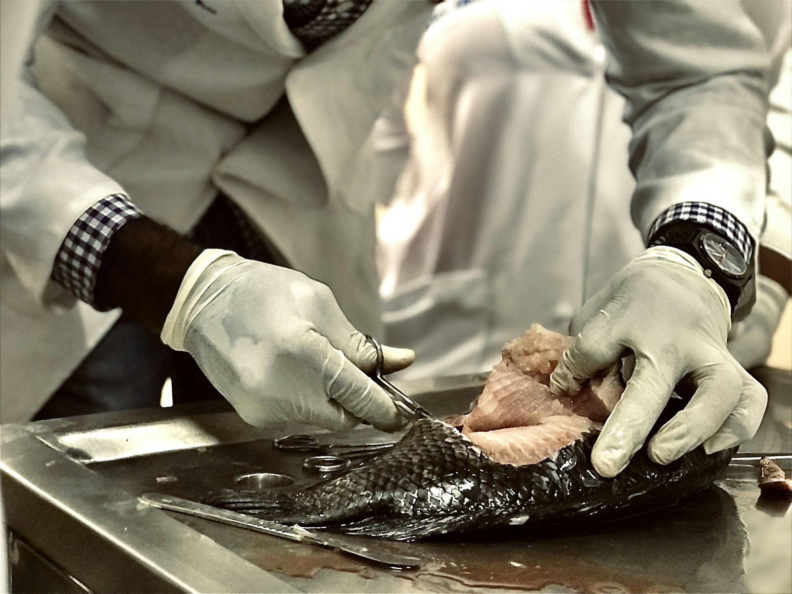 Fish Cake Raw Materials