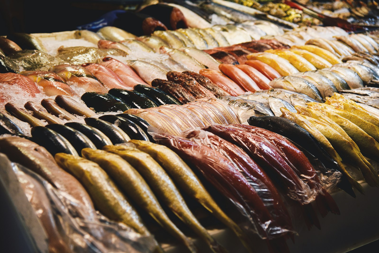 Frozen Seafood Products